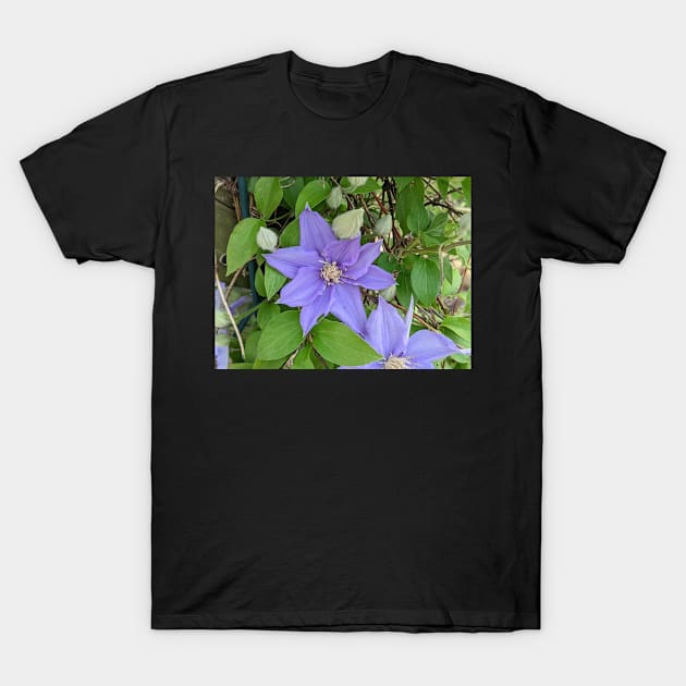 Clematis Fuji-Museme Flowers 4 T-Shirt by AustaArt